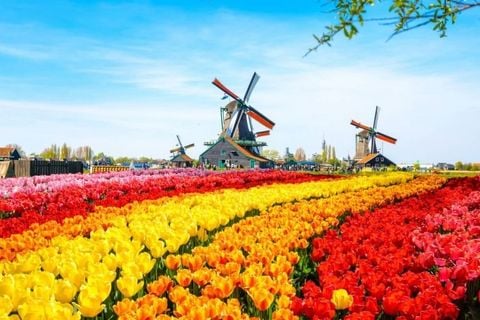 Tour Châu Âu: Trải Nghiệm 5 Nước Đức - Hà Lan - Luxembourg - Bỉ - Pháp