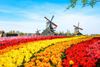 Tour Châu Âu: Trải Nghiệm 5 Nước Đức - Hà Lan - Luxembourg - Bỉ - Pháp