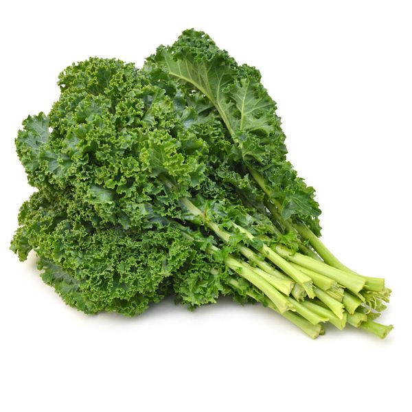  Cải Xoăn (Kale) Vietgap (Ptfarm) 