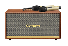Loa karaoke xách tay PASION 2 400W