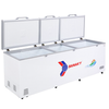 Tủ đông Sanaky VH 1199HYK 1100 lít