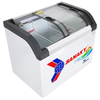 Tủ Đông Sanaky 280 lít VH 3899KB