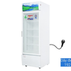 Tủ mát Sanaky 300 lít VH 3089K - 3089K