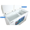 Tủ đông Hòa Phát 352 lít HCF 666S1Đ2