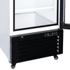 Tủ đông đứng Sanaky VH768K 590 lít