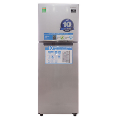 Tủ lạnh Samsung Inverter 234 lit RT22FARBDSA/SV
