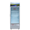 Tủ mát Sanaky Inverter 204 lit VH 308K3 - 308K3