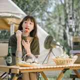 Quạt dã ngoại kiêm đèn đa năng Naturehike NH22ZM001