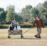 Xe kéo dã ngoại gấp gọn Naturehike NH19PJ001