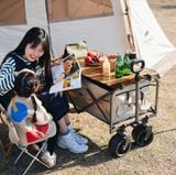 Xe kéo dã ngoại gấp gọn Naturehike NH19PJ001
