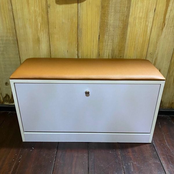 Tủ giày thông minh