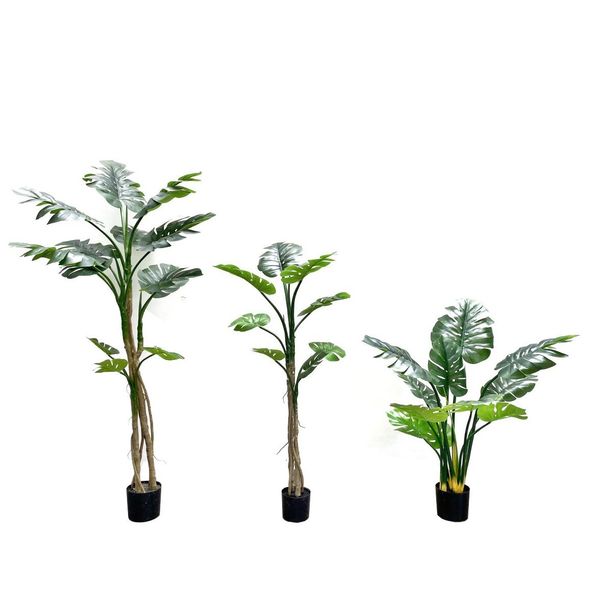 Cây giả - Cây trầu bà CAY2