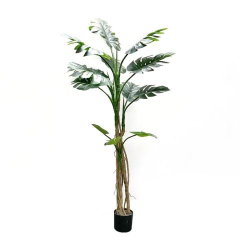 cây-giả-cây-nhựa-deocor-xdaily-trầu-bà (4)