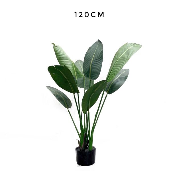 Cây giả - Cây chuối cảnh CAY1