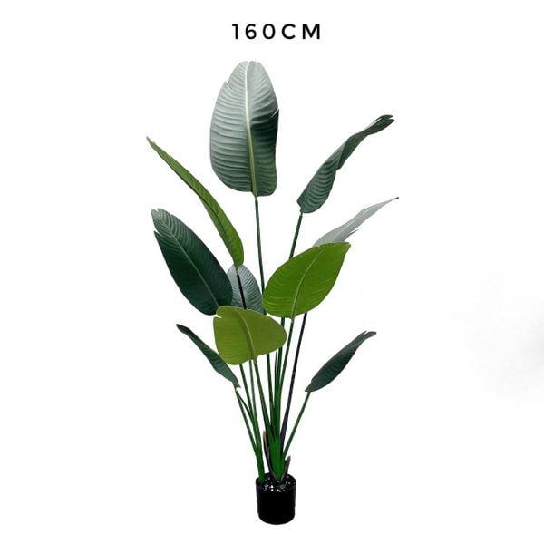 Cây giả - Cây chuối cảnh CAY1