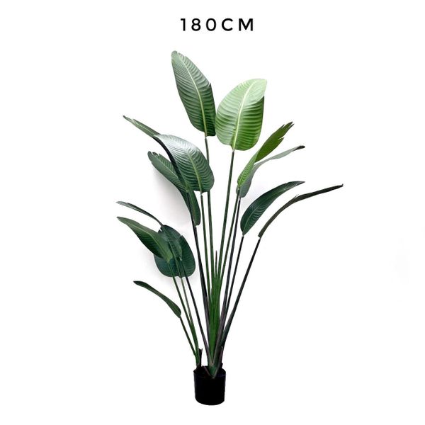 Cây giả - Cây chuối cảnh CAY1