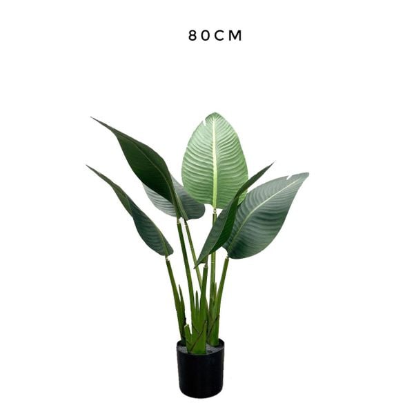 Cây giả - Cây chuối cảnh CAY1