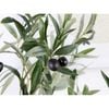 Cây giả Olive