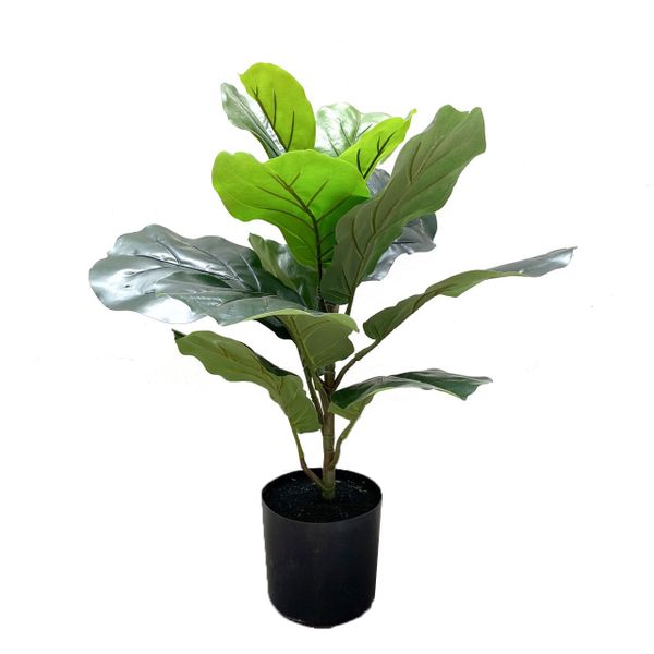 Cây giả - Cây bàng singapor CAY3