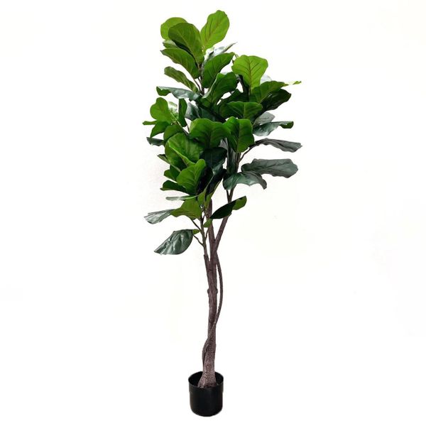 Cây giả - Cây bàng singapor CAY3