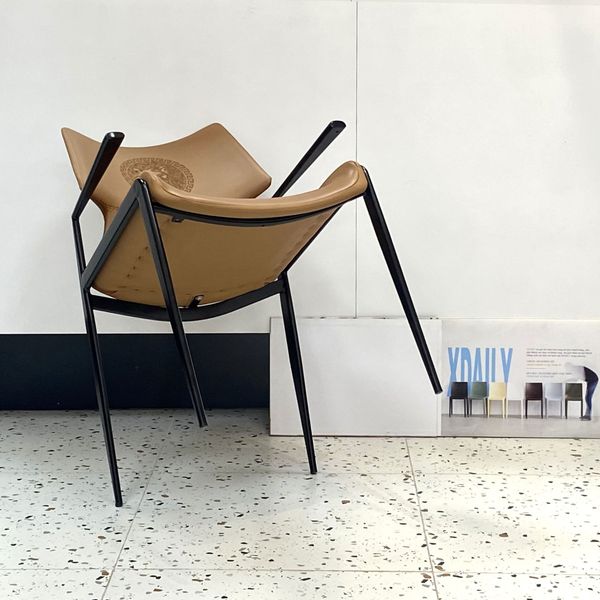 Ghế ăn XDAILY - APOLO chair