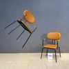 Ghế ăn XDAILY - Neon chair