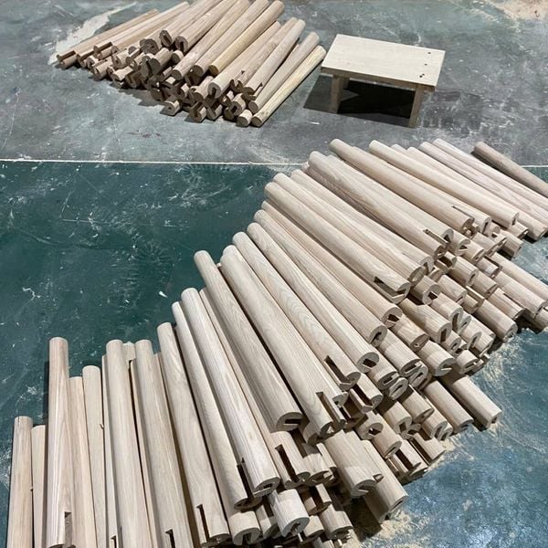 Ghế ăn, cafe XDAILY - Olendo chair