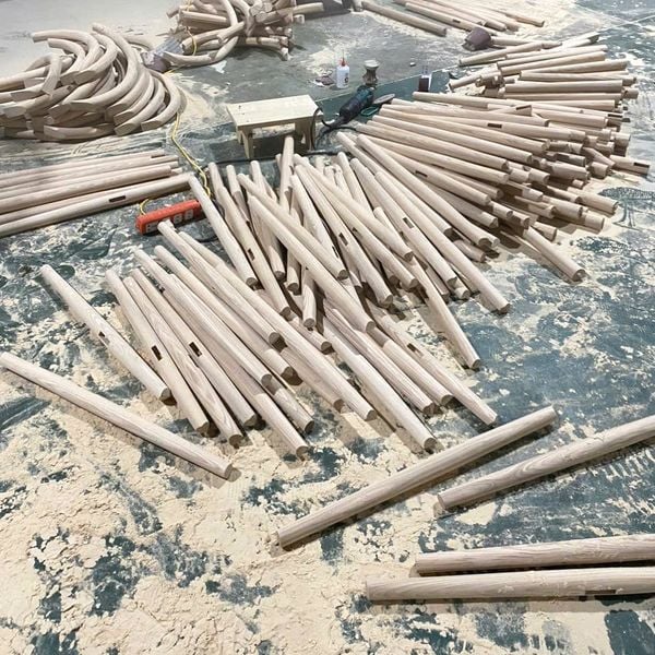 Ghế ăn, cafe XDAILY - Olendo chair