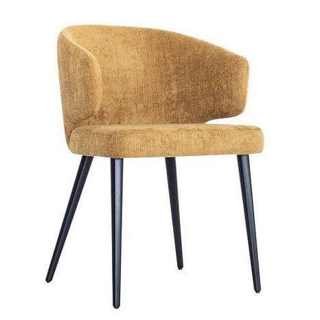 Ghế ăn XDAILY | SWAN chair