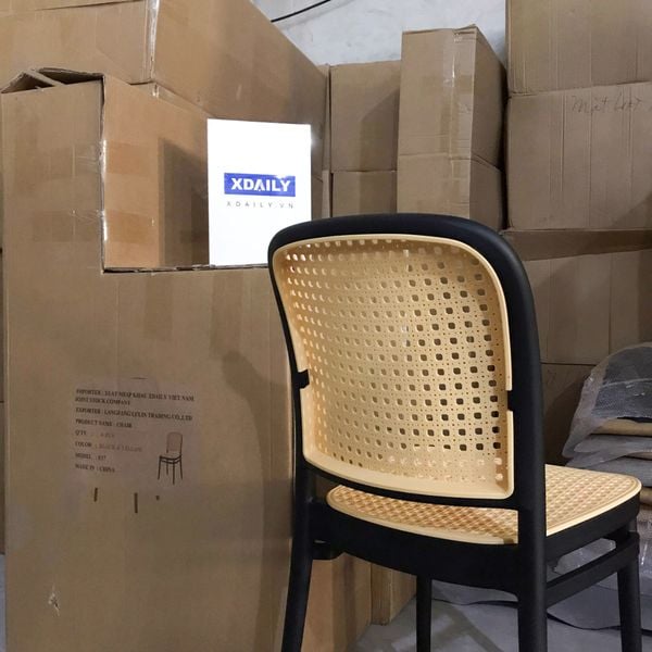 Ghế ăn XDAILY - Thonet mây nhựa