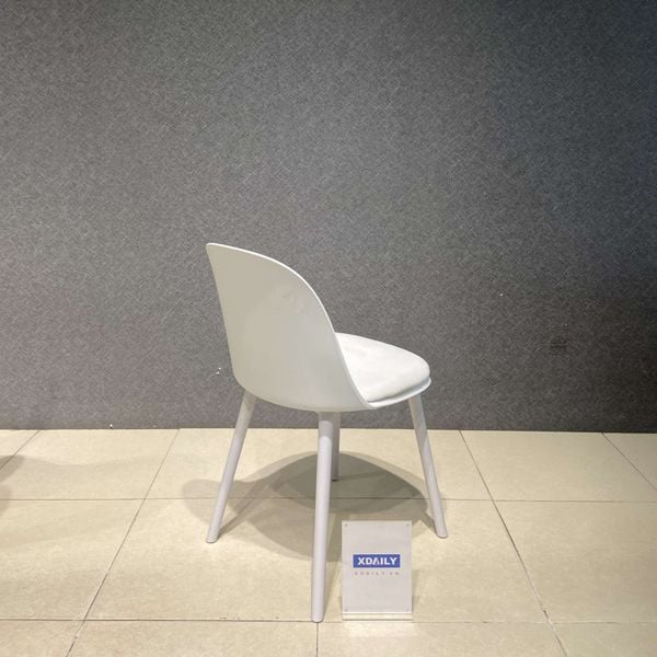 Ghế ăn - cafe XDAILY - TULIP chair