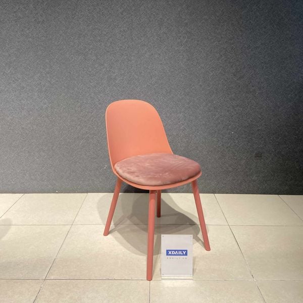 Ghế ăn - cafe XDAILY - TULIP chair