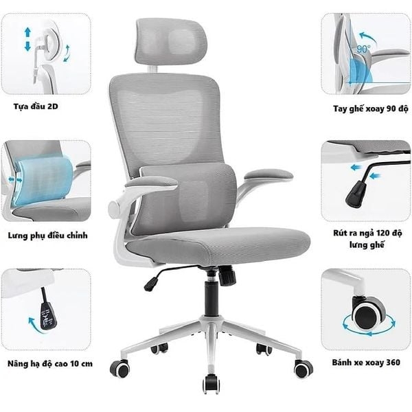 Ghế văn phòng chân xoay XDAILY GX881