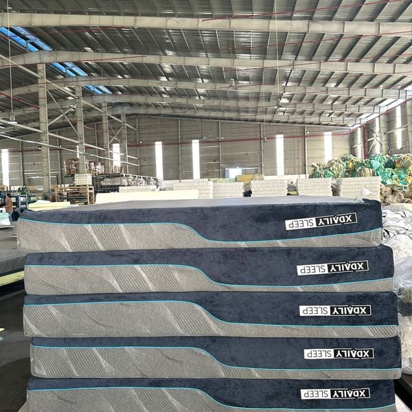 Nệm Foam cao cấp - XDAILY Mattress - Memory foam
