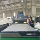 Nệm Foam cao cấp - XDAILY Mattress - Memory foam