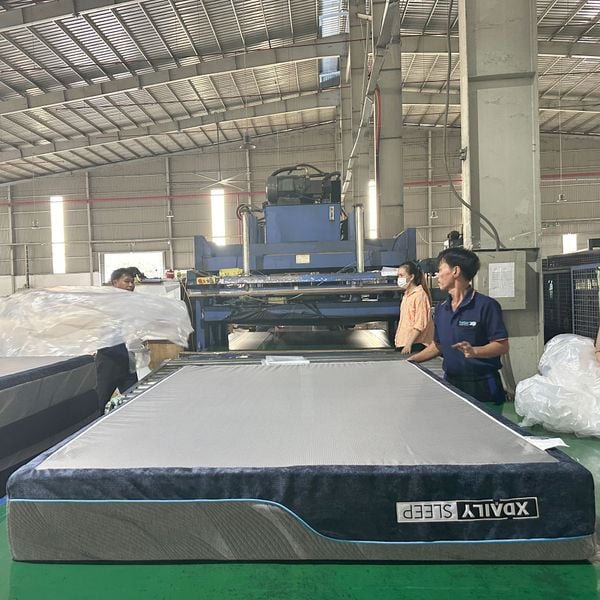 Nệm Foam cao cấp - XDAILY Mattress - Memory foam