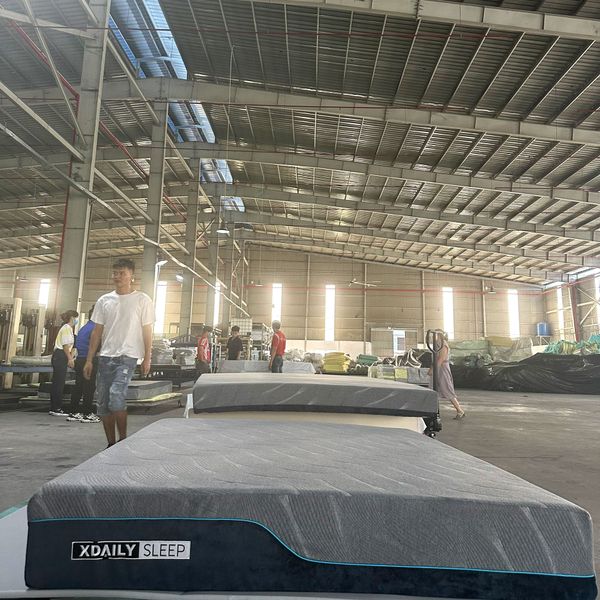 Nệm Foam cao cấp - XDAILY Mattress - Memory foam