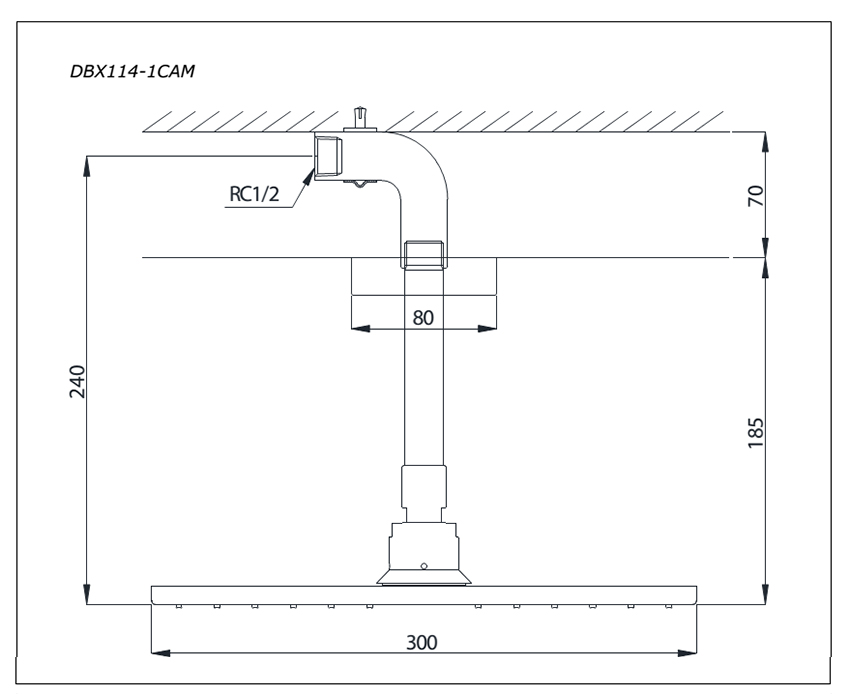 Bát sen TOTO DBX115CAMR bản vẽ kỹ thuật