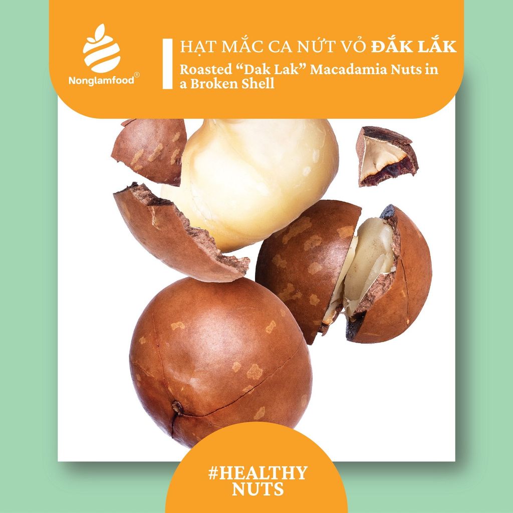 HẠT MACCA CÓ VỎ SIZE M | MACCADAMIA SIZE M