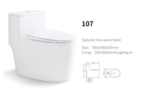 Bệt vệ sinh liền khối hàn quốc -107