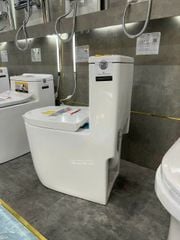Bệt vệ sinh liền khối nhỏ gọn r86