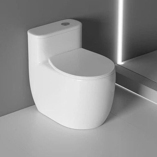 bồn cầu liền khối cỡ nhỏ R-89 - Thiết kế hiện đại