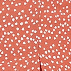  Đầm sơ mi dáng chữ A in họa tiết FWDR22FH21C 