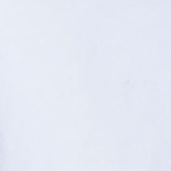  Áo Thun Nữ Thời Trang FWTS24SS13G 