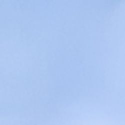  Áo Sơ Mi Tay Ngắn FWWS24FH10C-SSBB 