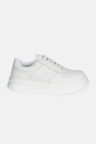 mau_WHITE