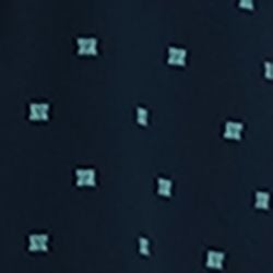  Áo Sơ Mi Nam Form Vừa Tay Ngắn WS24SS33T-SD 