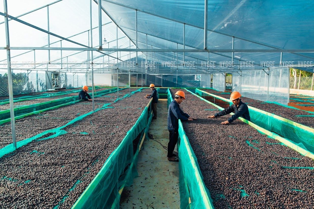 e2 tron vi tan thoi hygge ca phe cho quan