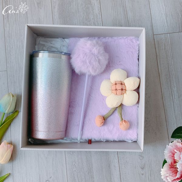  Quà tặng đồng nghiệp nữ ý nghĩa, quà tặng công sở GS1071 