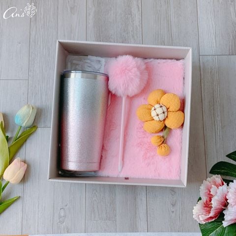  Quà tặng đồng nghiệp nữ ý nghĩa, quà tặng công sở GS1071 